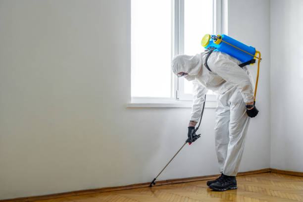 Best Organic or Eco-Friendly Pest Control  in Troy, MI